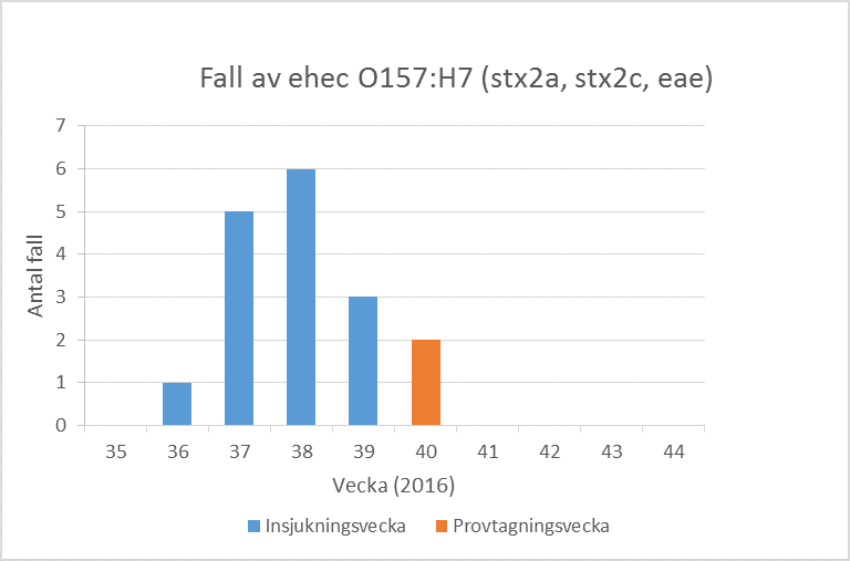 Vecka 38 och 39 var smittfallen högt.