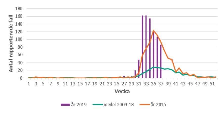 Antal smittade var h&ouml;g mellan vecka 31 och 37.