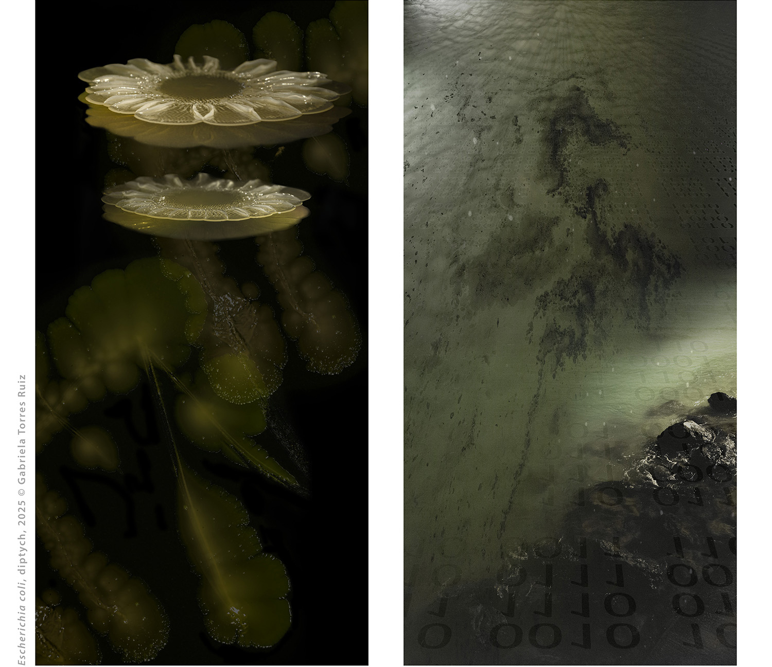 Fotograf: Gabriela Torres Ruiz.