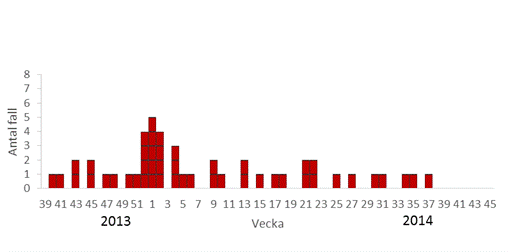 M&aring;nga smittade vid &aring;rsskiftet.