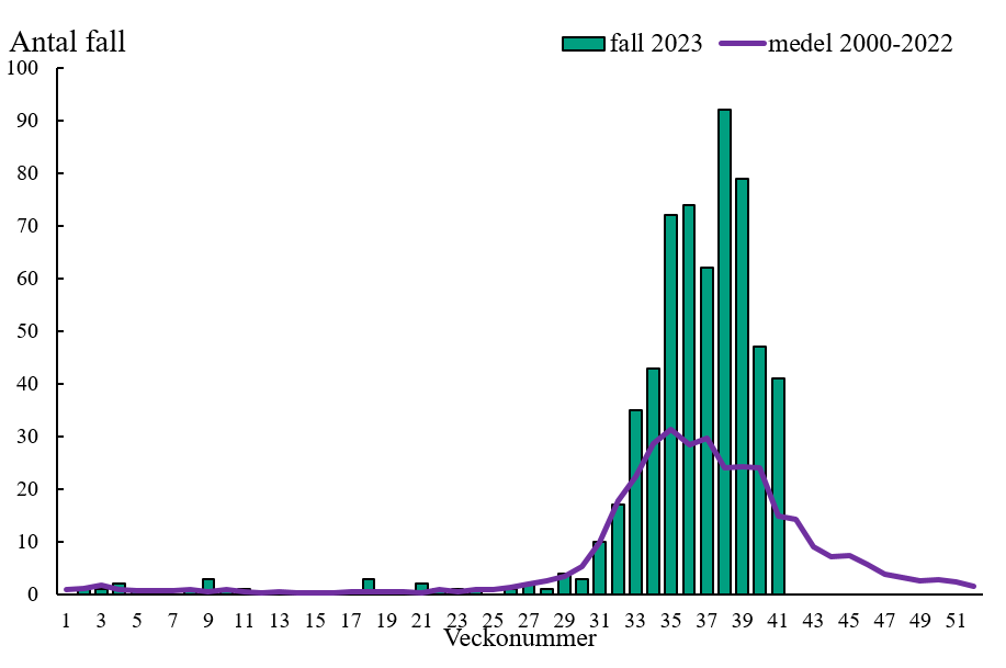 Vecka 31 till 40 var antal smittade hög.