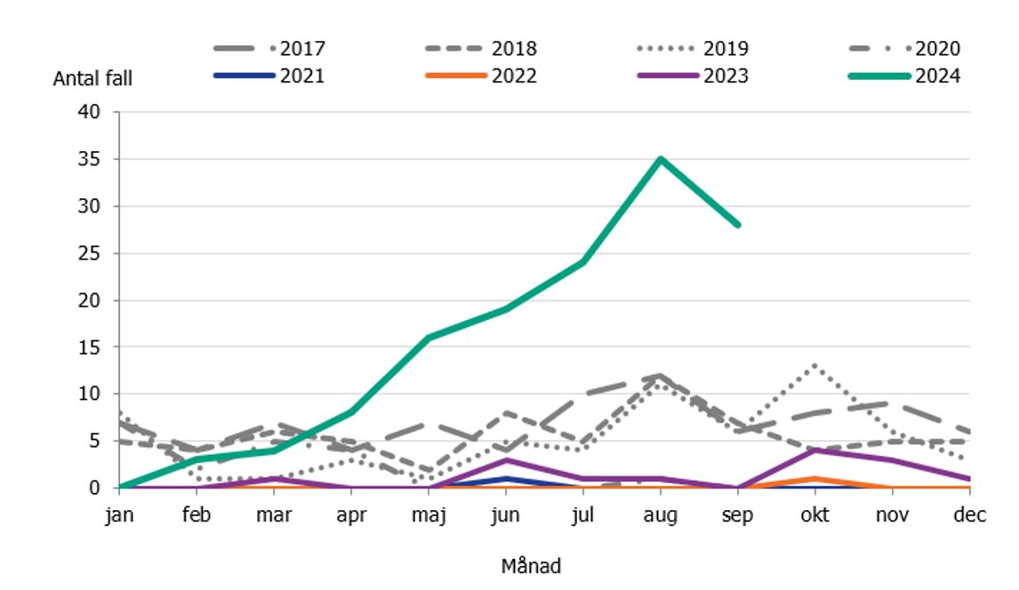 Antalet fall av kikhosta per m&aring;nad bland barn yngre &auml;n 1 &aring;r &auml;r fler &auml;n perioden 2017-2023. I september 2024 rapporterades 28 fall.