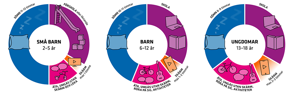 Dygnshjul som visar fördelningen av aktiviteter under dagen.