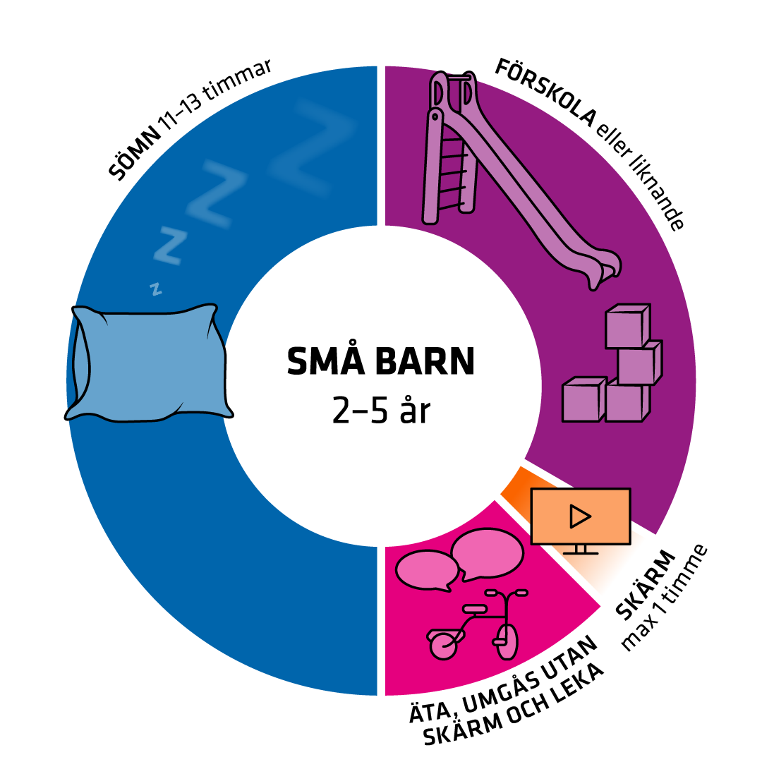 Illustration av dygnshjul.