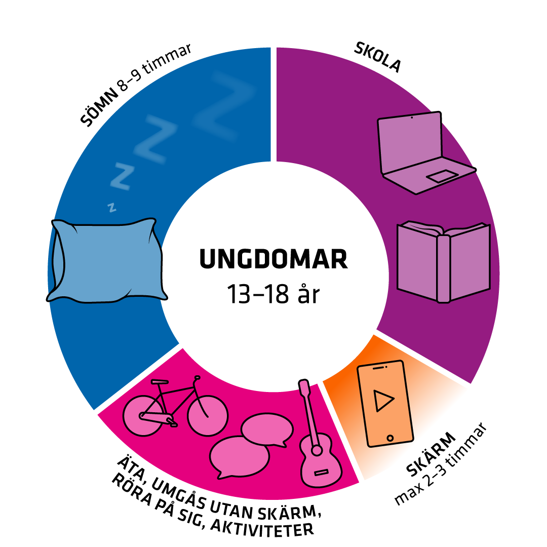 Illustration av dygnshjul.