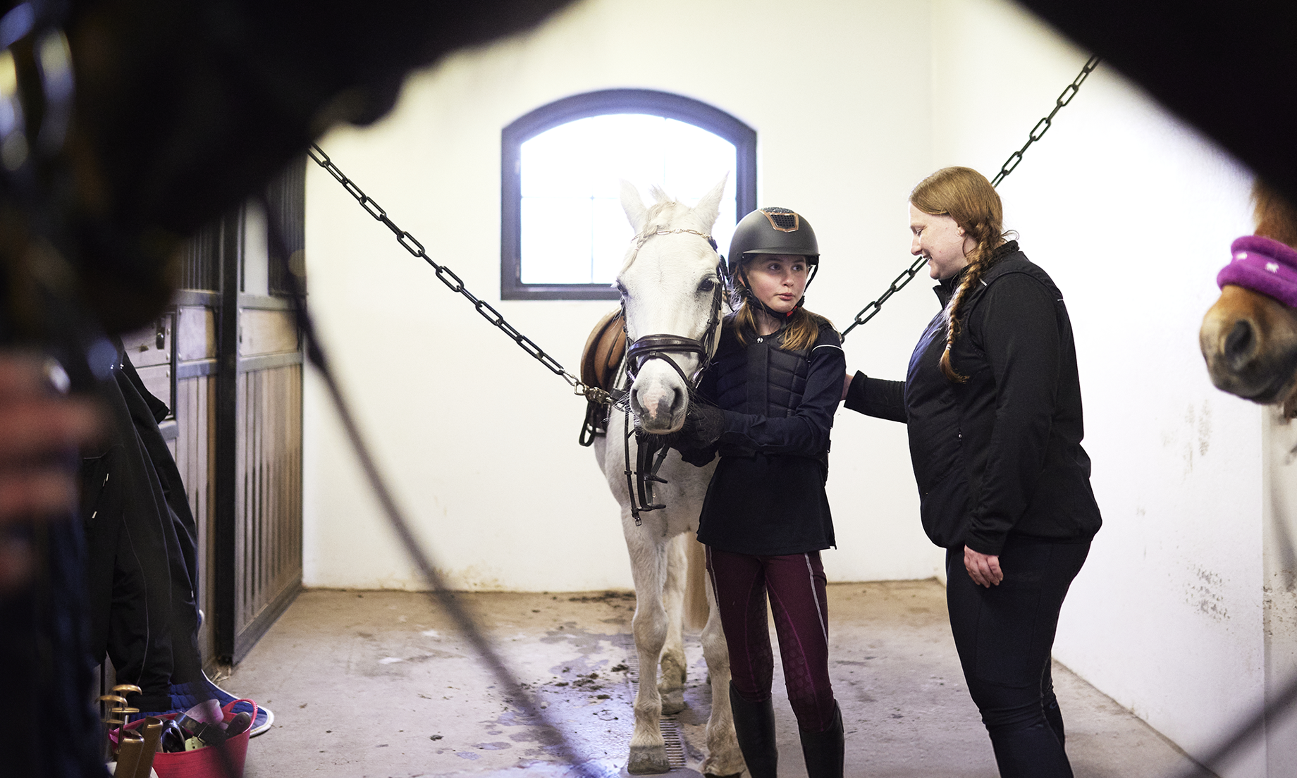 I ett stall en flocka håller i en häst och en ledare pratar med henne