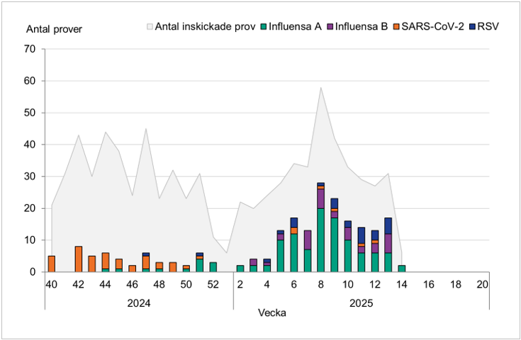 Tidigt under säsongen mest SARS-CoV-2, därefter mest influensa A. Flest influensafall vecka 8–9.