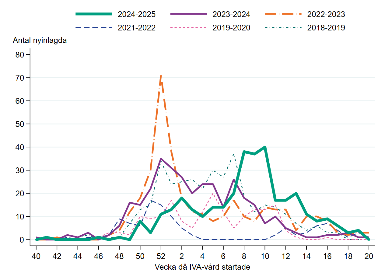 Säsongens topp för intensivvårdade under vecka 8–10 var något högre och bredare samt senare än toppen 2023–24. 