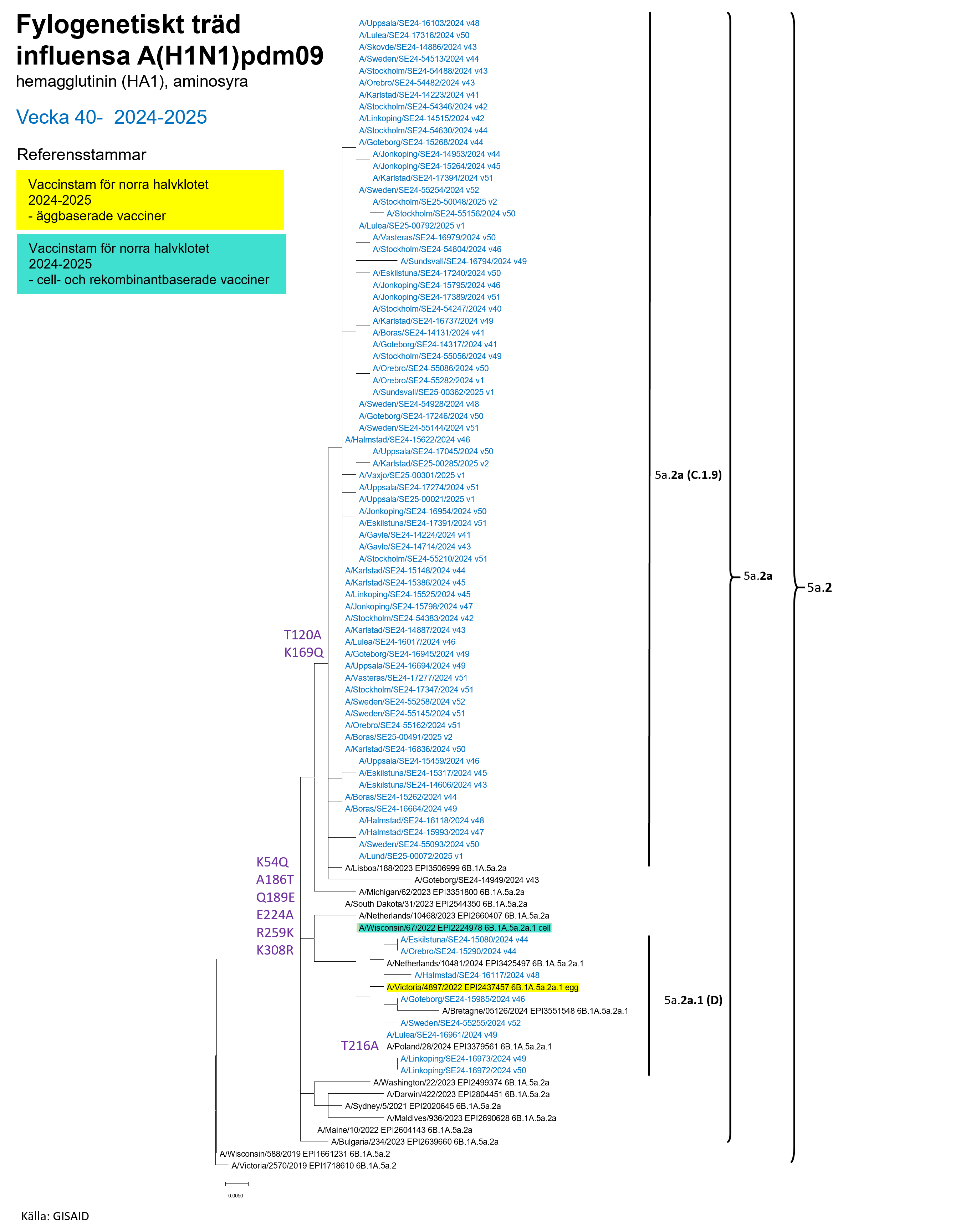 De flesta analyserade virus &auml;r i gruppen 5a.2a(C.1.9), se Tabell S1. 