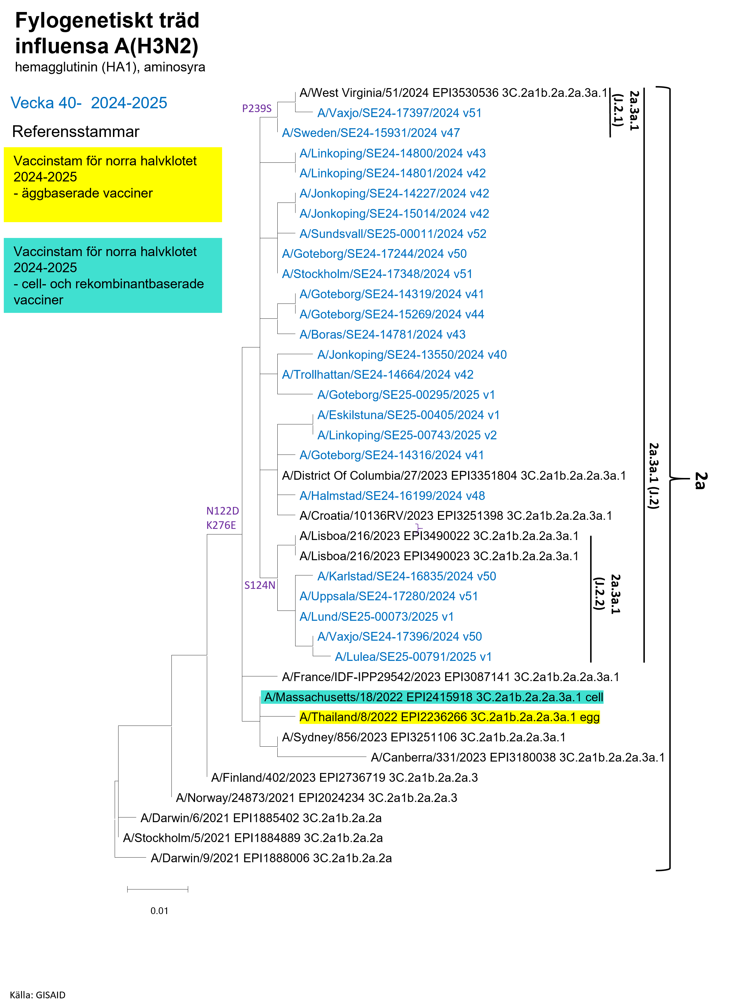 De flesta analyserade virus &auml;r gruppen 2a.3a.1 (J.2), se Tabell S1. 