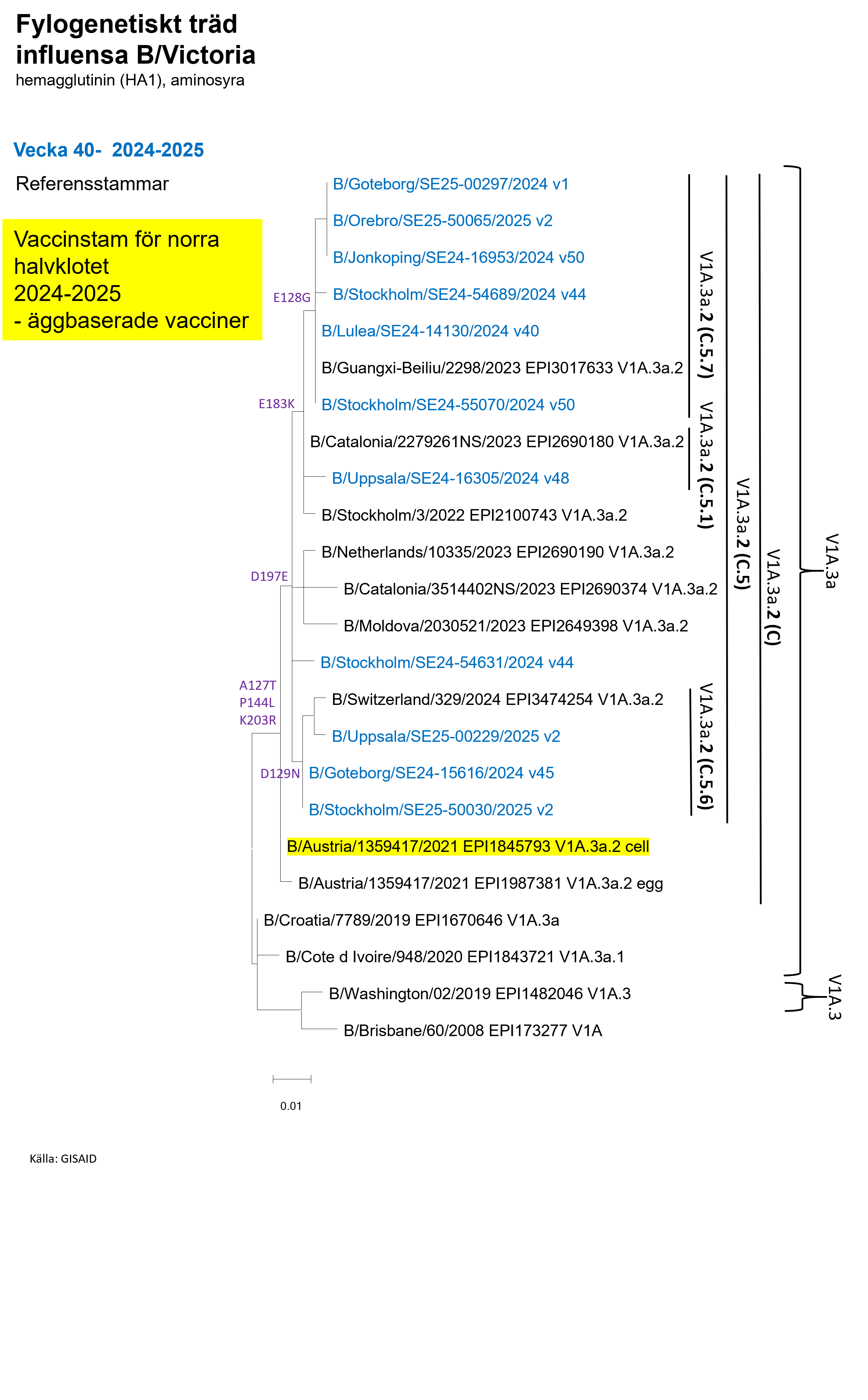 Analyserade virus &auml;r undergrupper till V1A.3a.2, se Tabell S1. 