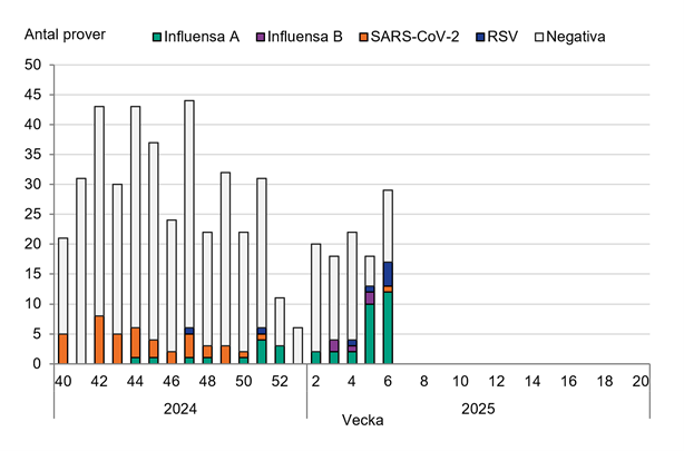 20-40 prover analyseras per vecka. SARS-CoV-2 mest f&ouml;rekommande till vecka 50, d&auml;refter mest influensa A. M&aring;nga influensafall vecka 5 och 6. 