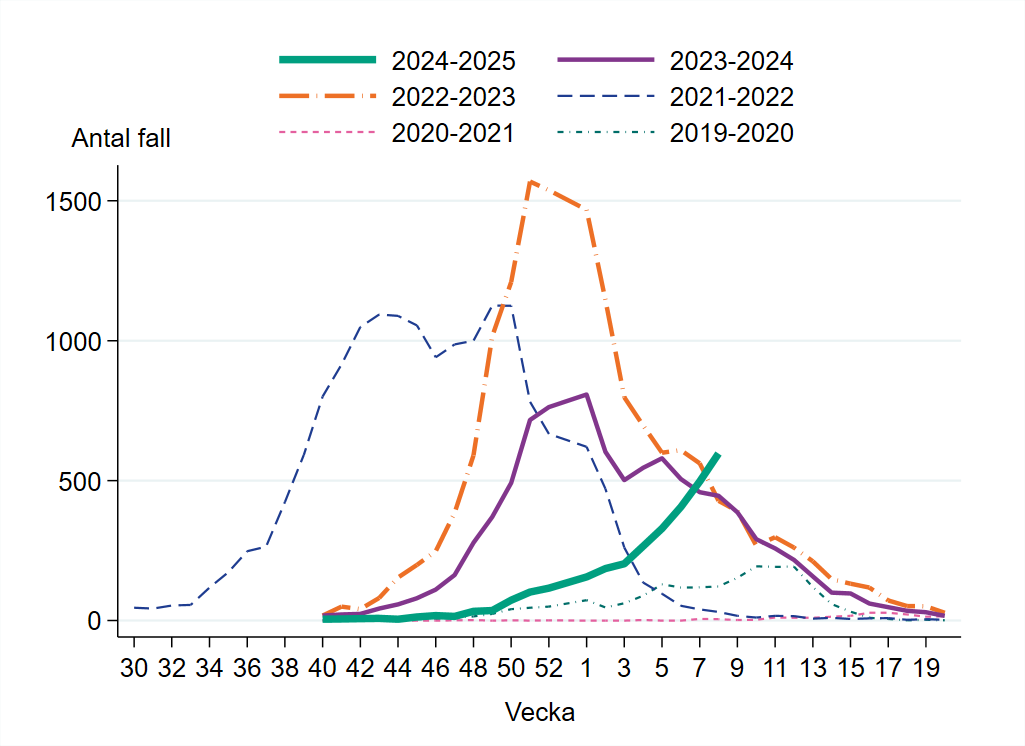 Vecka 8 har 597 fall rapporterats vilket är en ökning från föregående vecka.